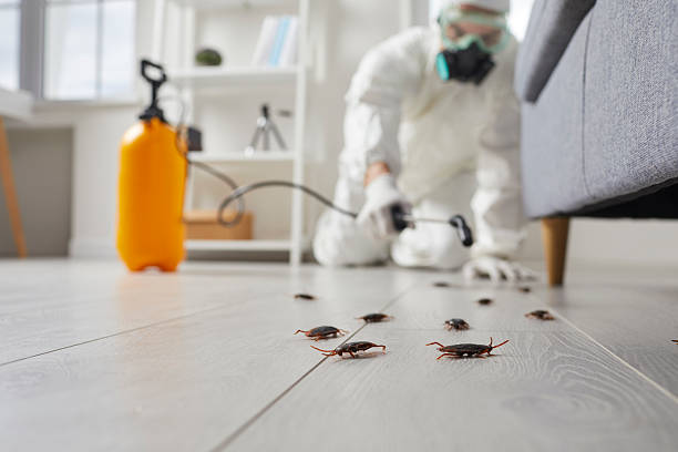 Commercial Kitchen Cockroach Control in Clarinda
